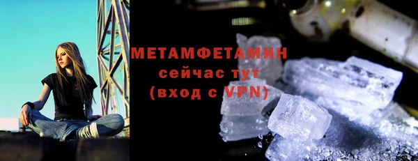 шишки Заволжье
