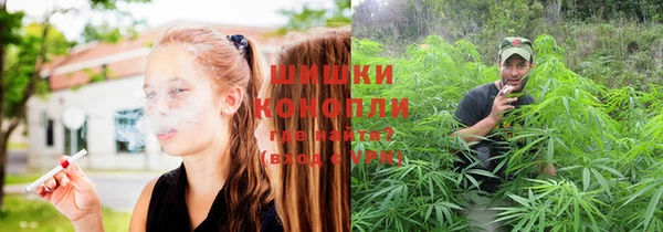 крисы Елизово