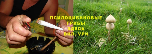 крисы Елизово