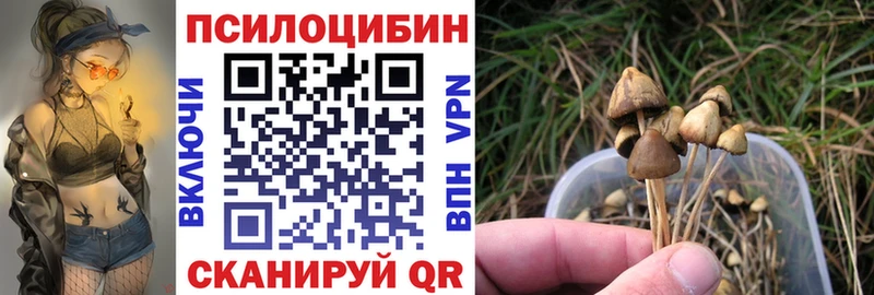 Псилоцибиновые грибы MAGIC MUSHROOMS  Купить закладки  Камень-на-Оби 